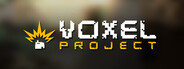 Voxel Project VR