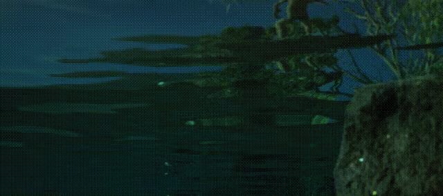 STOP! Don’t Die in Australia.. video 1