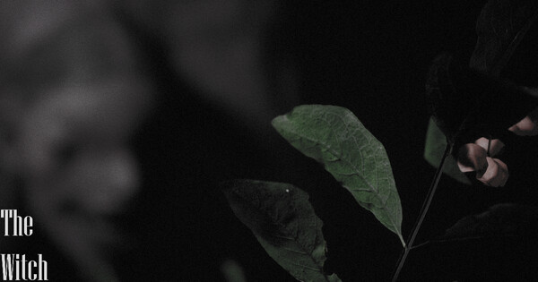 The Witch Screenshot