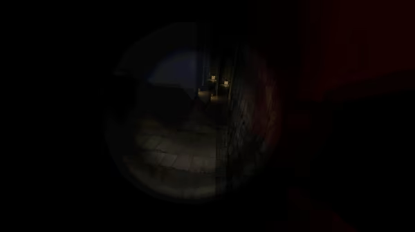 Frog Corner video 2