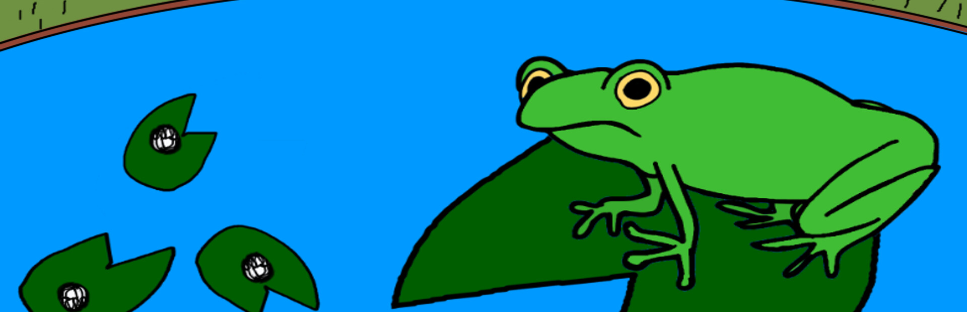 Frog Corner