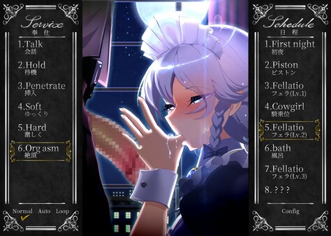 Working Sakuya Screenshot