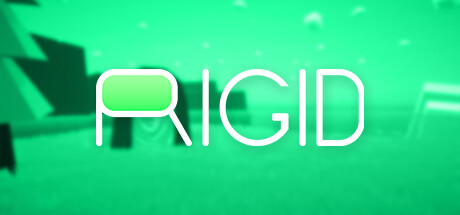 Image for Rigid