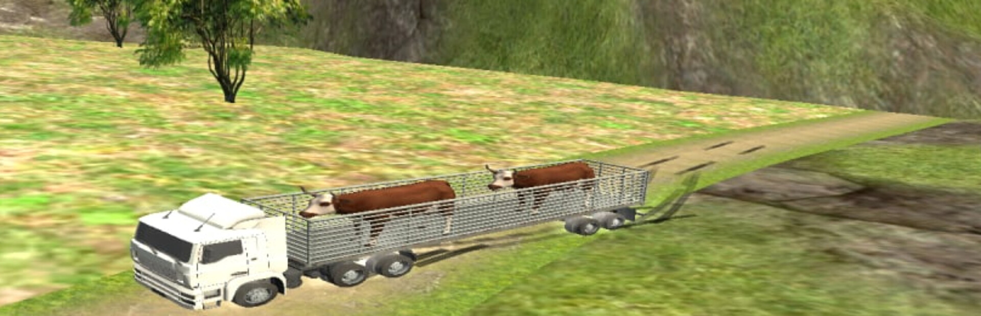Wild Animals Transporter