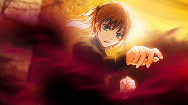 Thumbnail 13