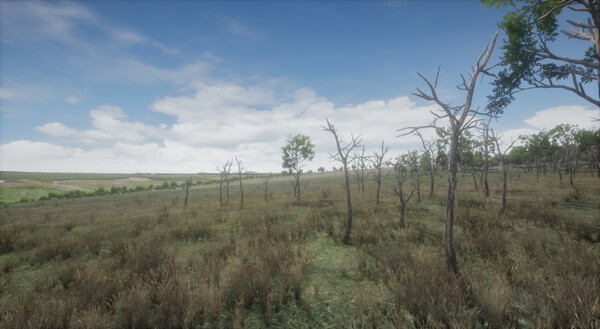 Ukrainian Fight Drone Simulator