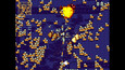 Screenshot #8