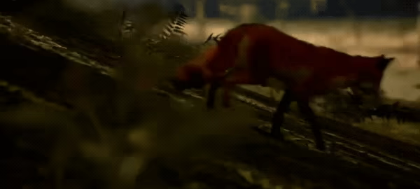 Horizon's Edge video 3