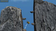 Screenshot #1