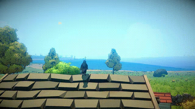 Flyga video 1