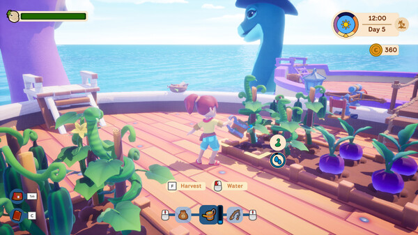 Collector's Cove
