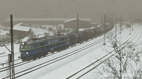 SimRail - The Railway Simulator: Cargo Pack.