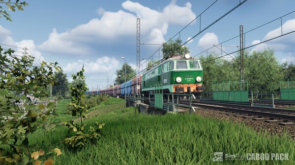 SimRail - The Railway Simulator: Cargo Pack.