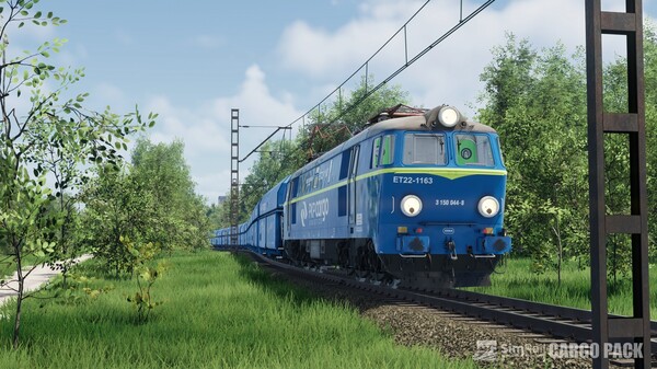 SimRail - The Railway Simulator: Cargo Pack.