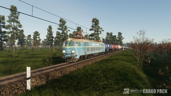 SimRail - The Railway Simulator: Cargo Pack.