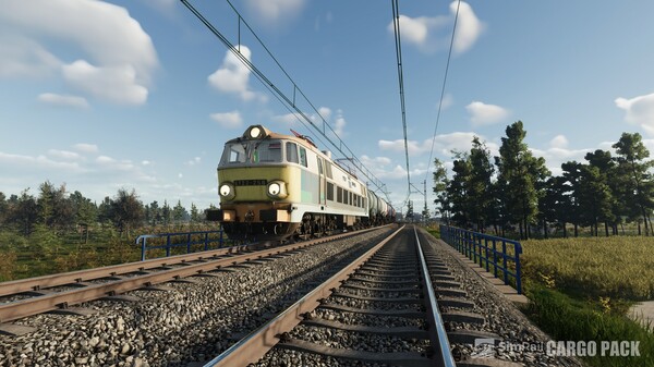 SimRail - The Railway Simulator: Cargo Pack.