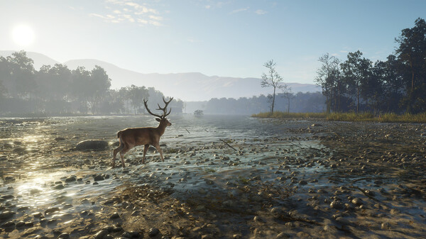 theHunter: Call of the Wild™ - Sundarpatan Nepal Hunting Reserve — скриншот 13