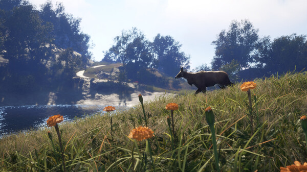 theHunter: Call of the Wild™ - Sundarpatan Nepal Hunting Reserve — скриншот 8
