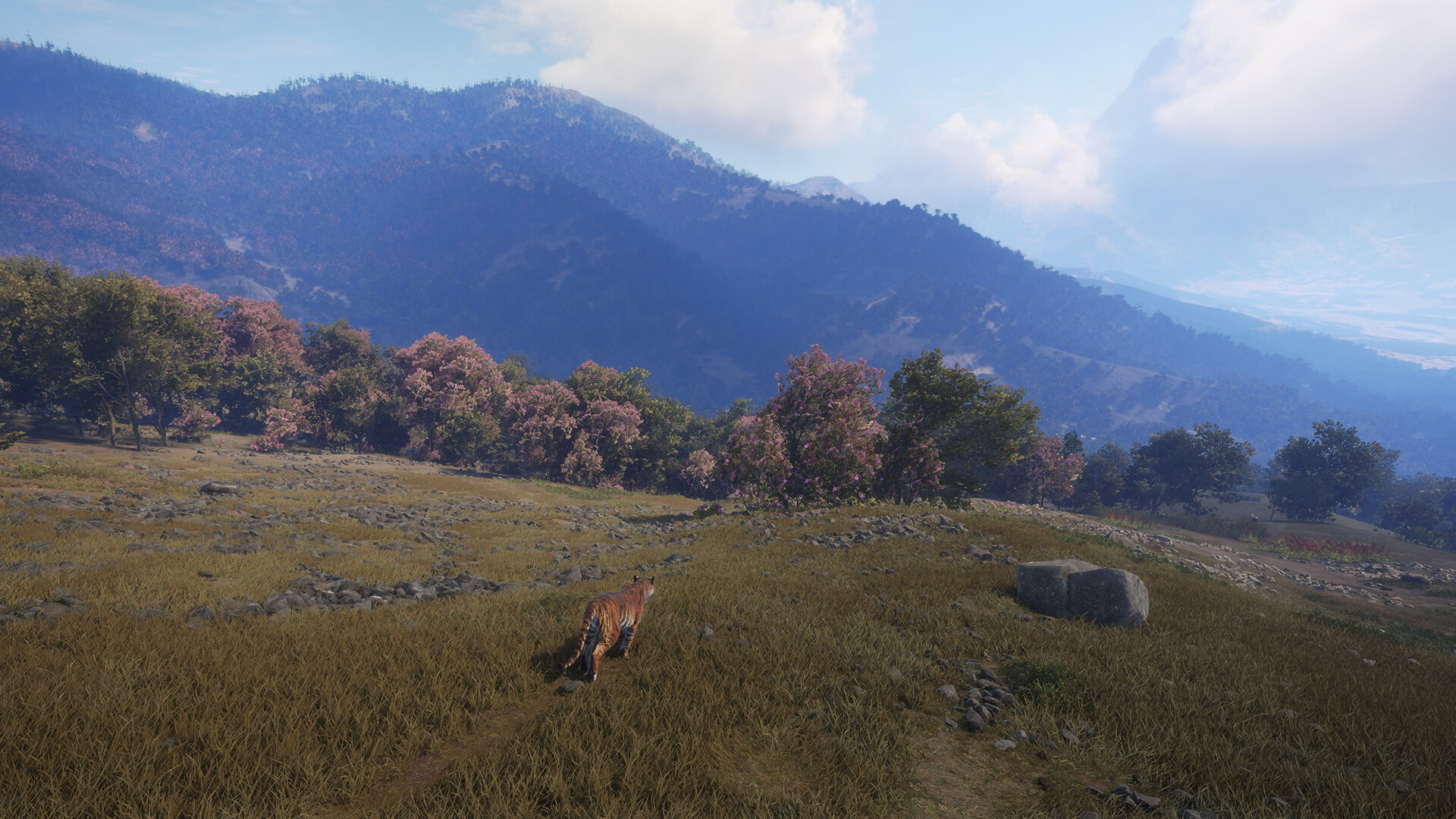 theHunter: Call of the Wild™ - Sundarpatan Nepal Hunting Reserve в Steam