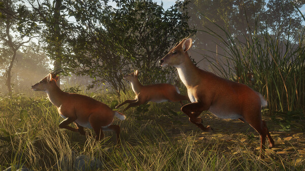 theHunter: Call of the Wild™ - Sundarpatan Nepal Hunting Reserve — скриншот 10