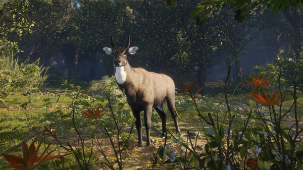 theHunter: Call of the Wild™ - Sundarpatan Nepal Hunting Reserve — скриншот 12