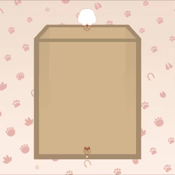 Animal Shake video 1