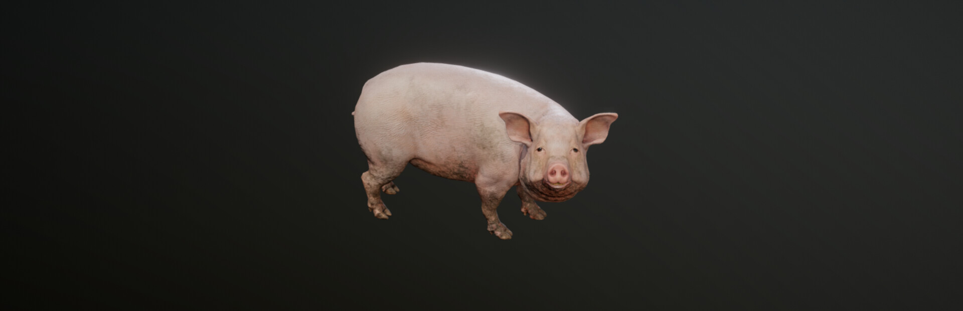 Pih