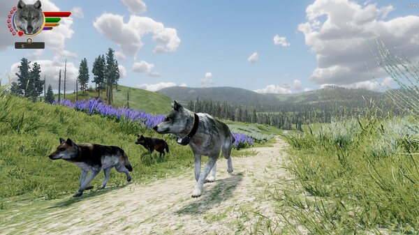 WolfQuest Anniversary - Hellroaring Mountain