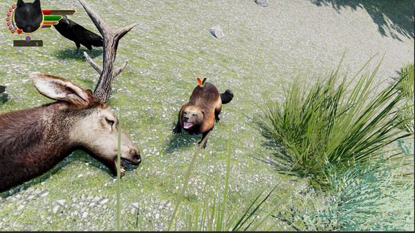 WolfQuest Anniversary - Hellroaring Mountain