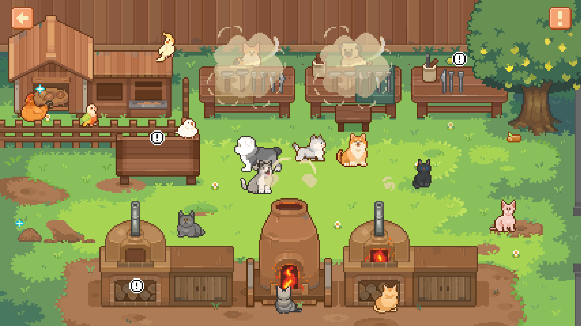 宠物街金鱼姬 Pet Street Story screenshot 6
