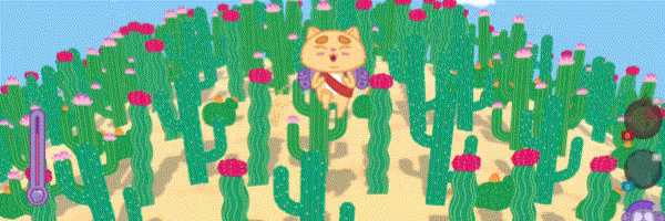 Kiwie vs Desert video 3