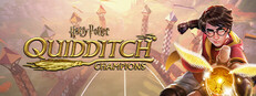 Harry Potter: Quidditch Champions Banner