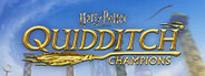 Harry Potter: Campeones de quidditch