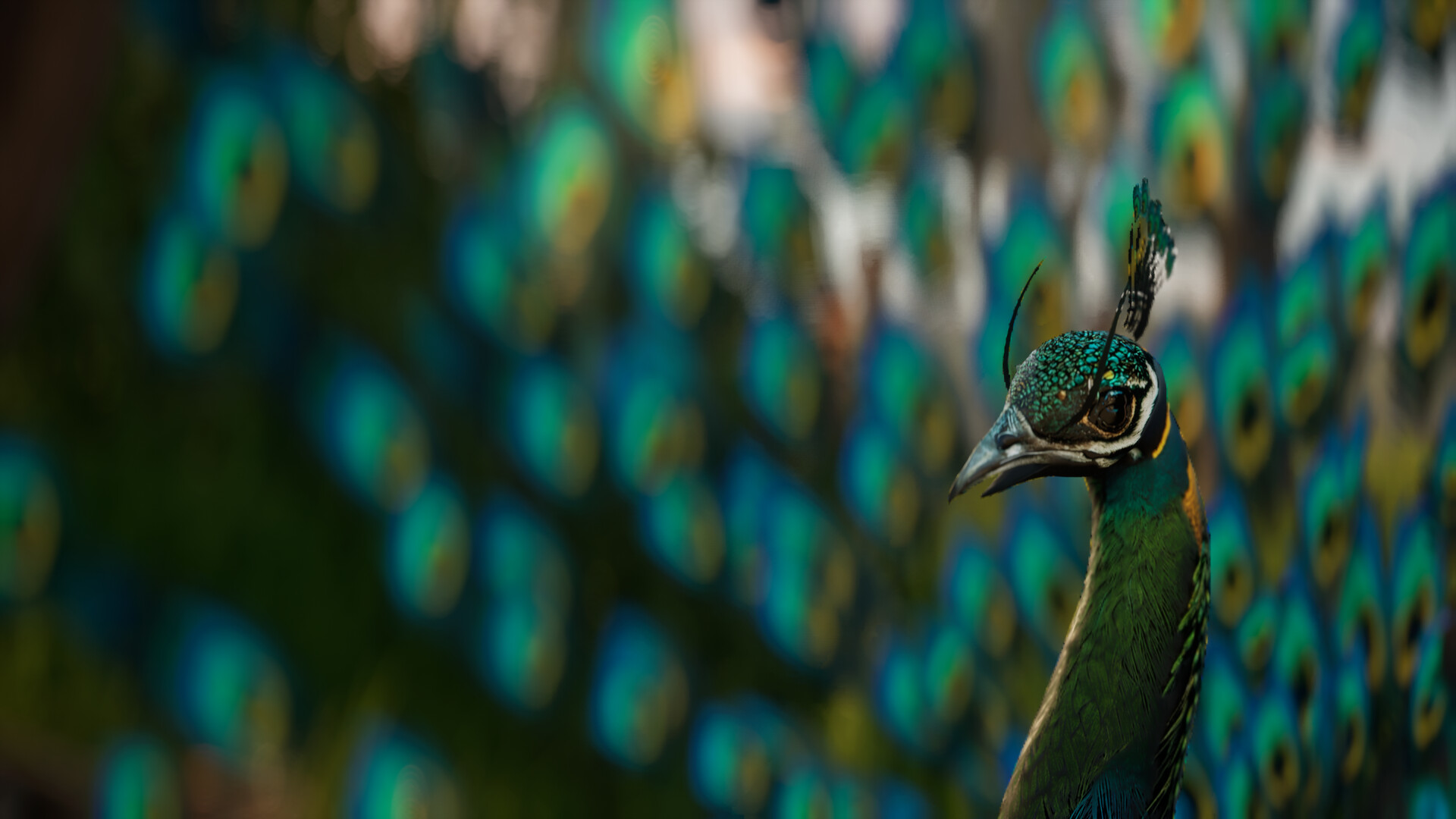 Son of Thanjai screenshot #5