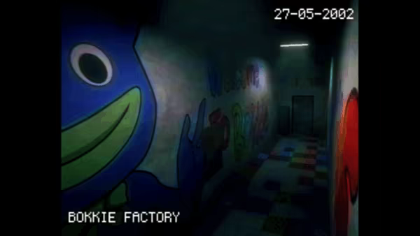 BOKKIE video 3