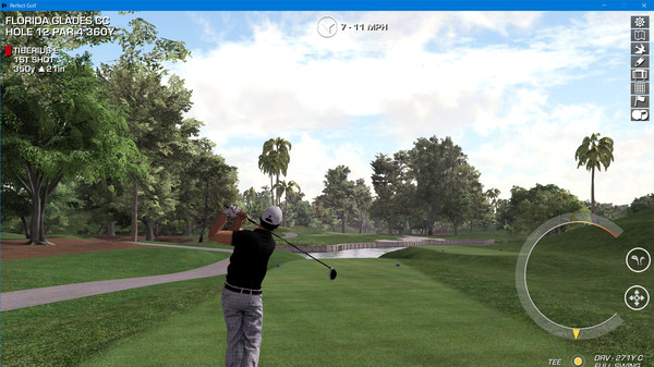 Screenshot z Perfect Golf