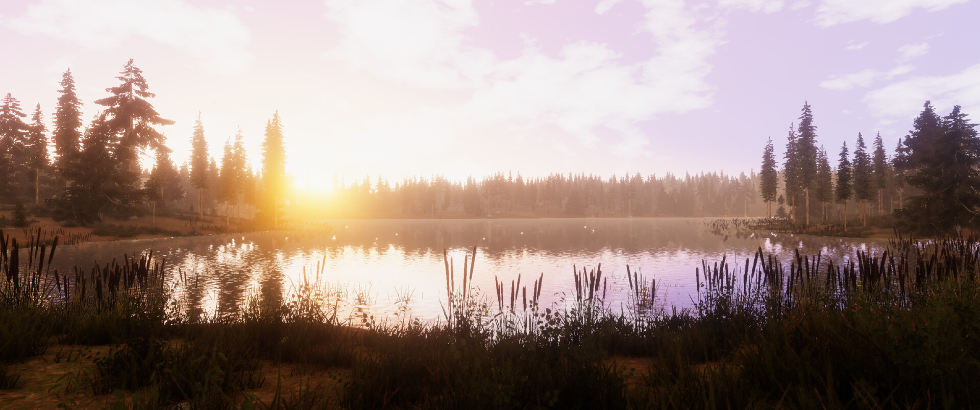 CAMPS screenshot #11