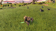 Screenshot #4
