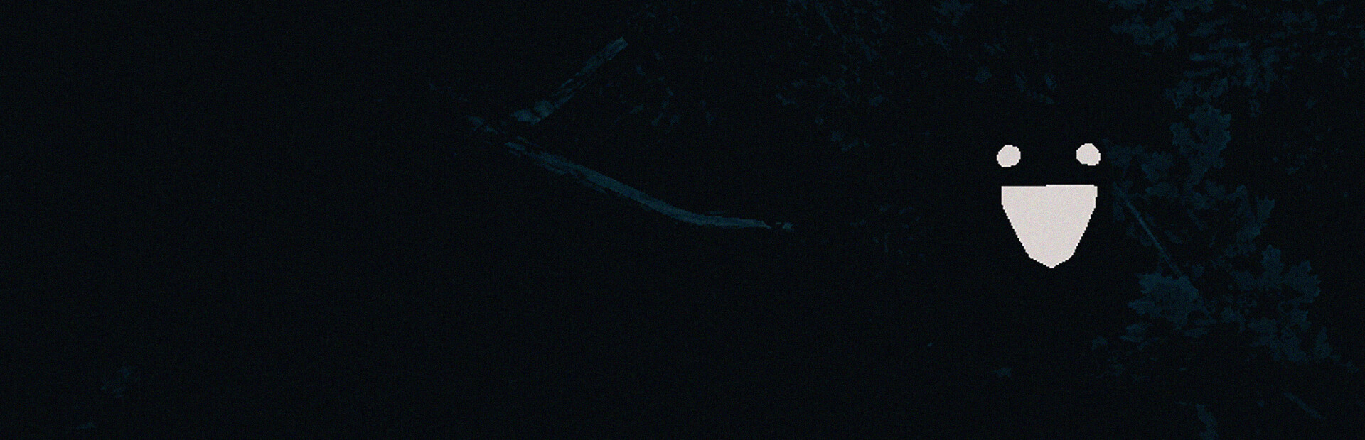 Void Whispers