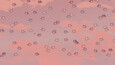 Screenshot #9