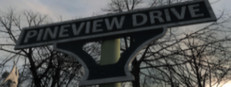 Pineview Drive on Steam