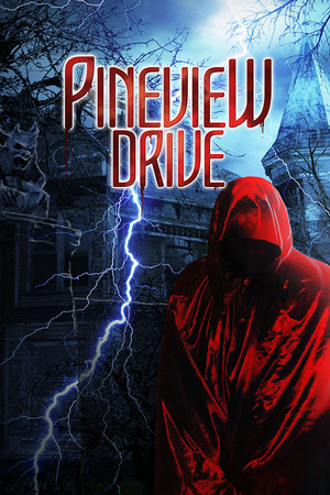 Cover art of Pineview Drive