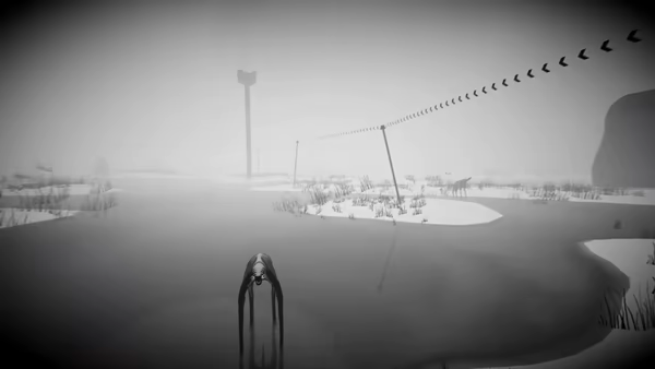 White video 7