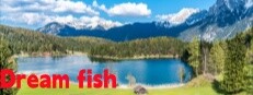 Dream fish