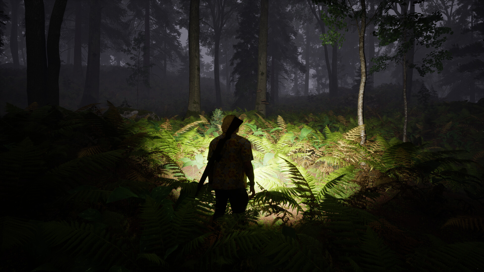 Trail of the Cryptid screenshot #6