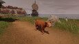 Screenshot #10