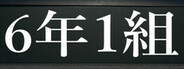 Capsule media