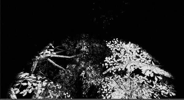 Monkey See, Monkey Doo, Monkey Kiss You screenshot 4