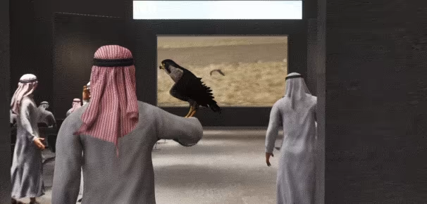 Enter Falconry video 2