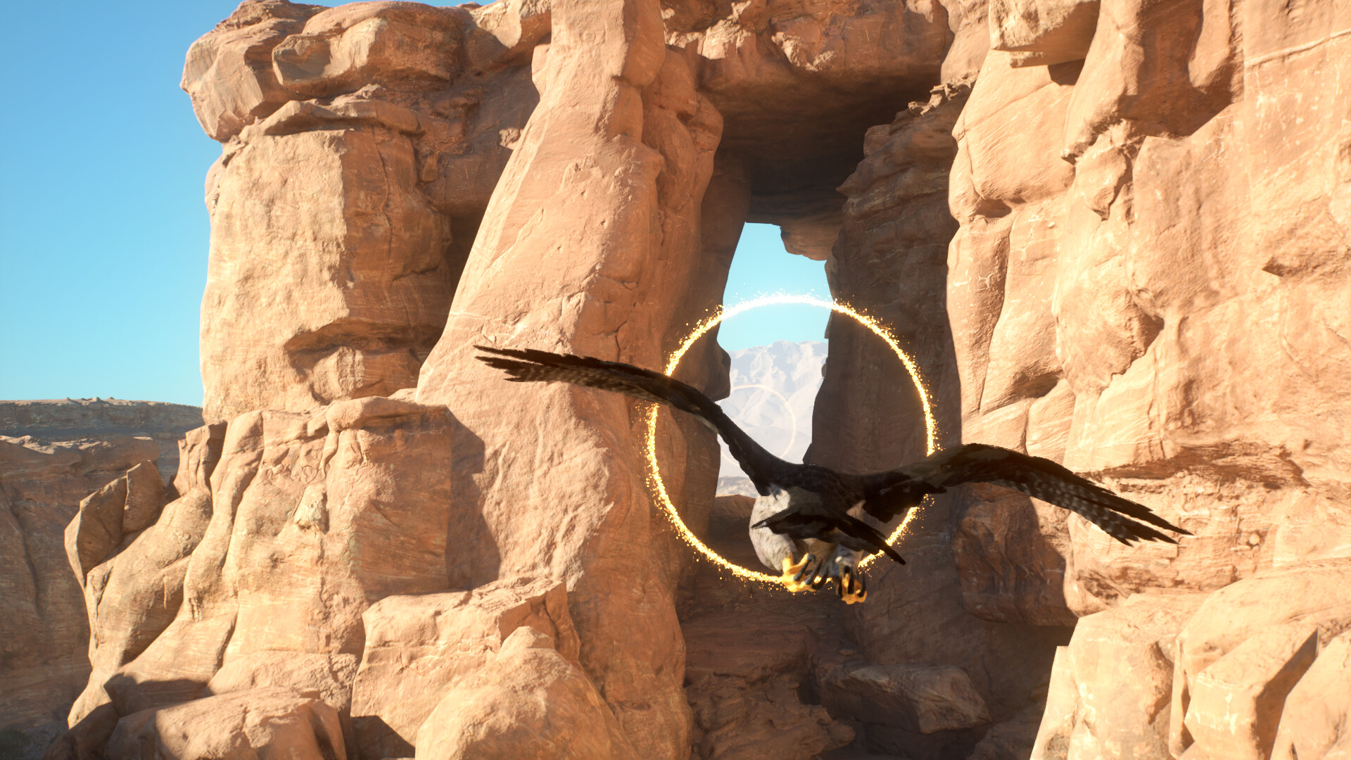 Enter Falconry screenshot #4